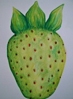 /album/photo-gallery-ladybirds/dscf4580-3-jpg/